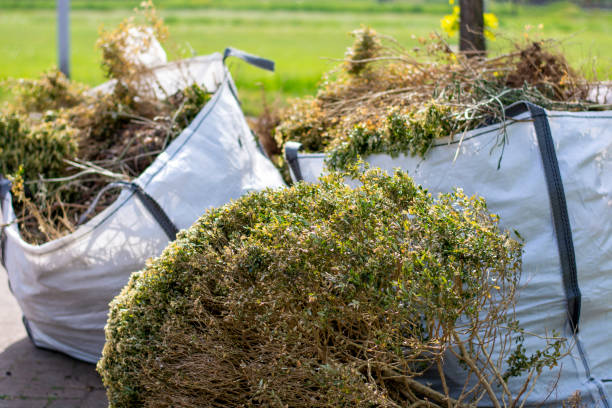 Shed Removal in Dove Valley, CO
